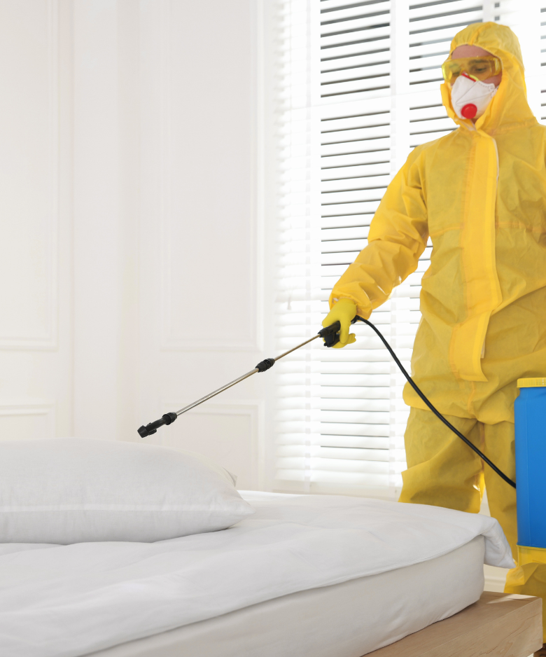Professional Pest Control Team in Hackham West